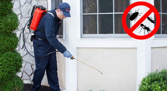 Başakşehir Böcek İlaçlama böcek ilaçlama ve haşere kontrolü — ilaclama-tr.com